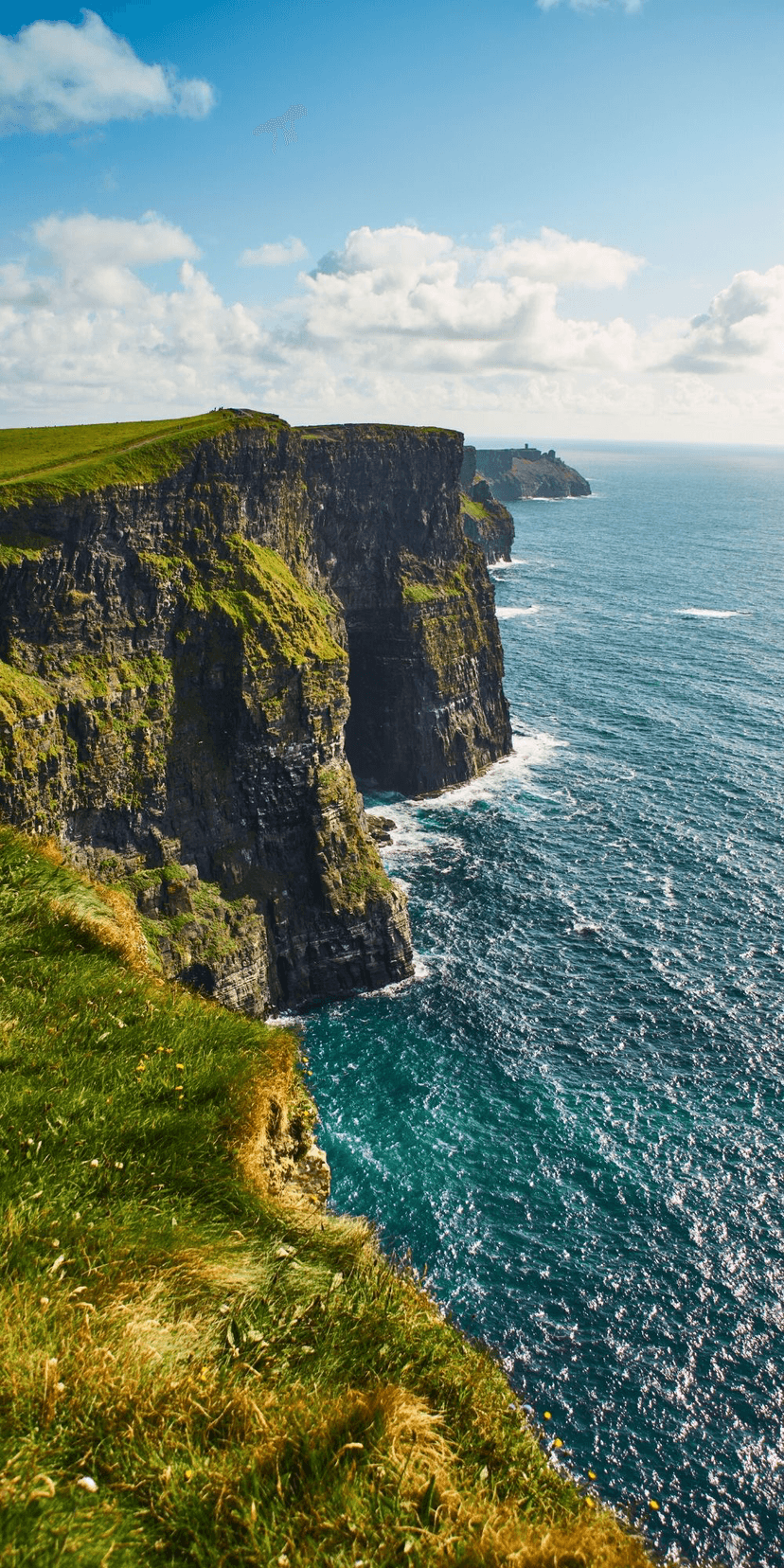 Ален Делон short