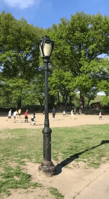 Ален Делон short