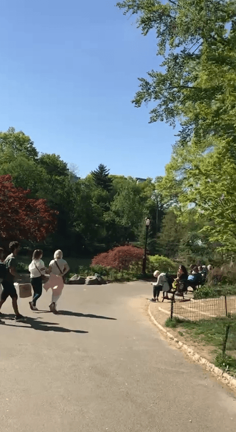 Ален Делон short