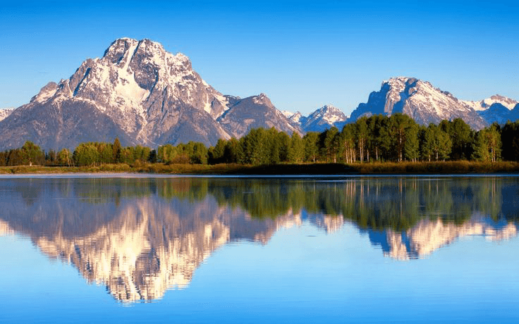 undefined short